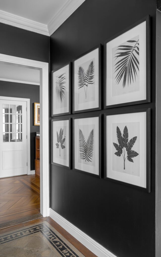 Large framed black and white botanical leaf prints mounted on black accent wall