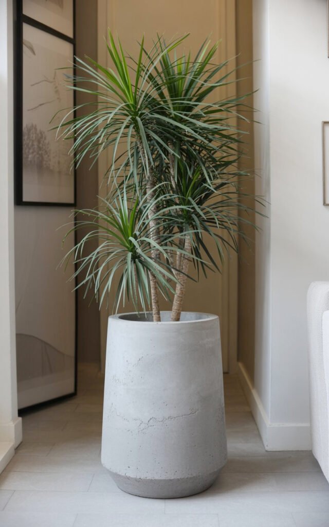 Modern concrete pot in gray holding tall plant creating architectural hallway element
